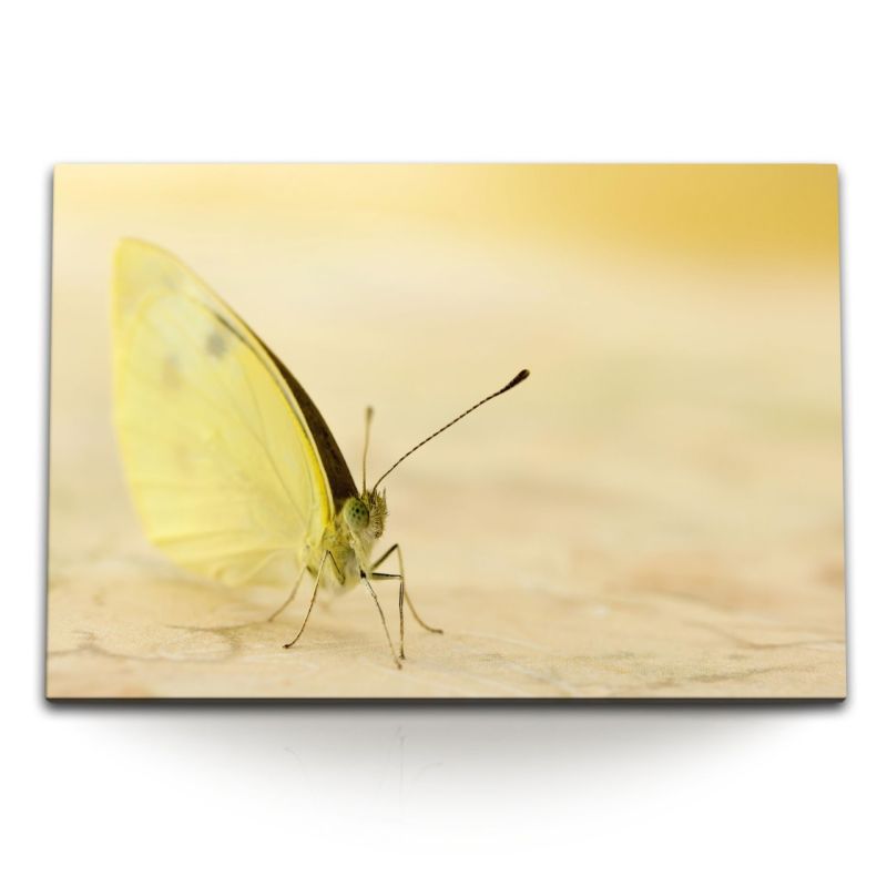 120x80cm Wandbild auf Leinwand Gelber Schmetterling Makrofotografie Fotokunst