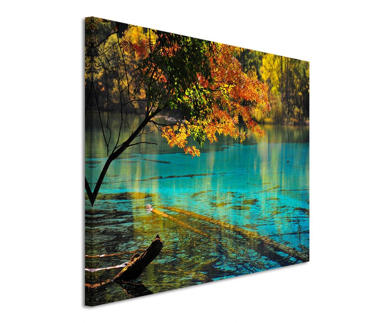 120x60cm Landschaft See Boot Berge Himmel, 120x60cm Myanmar See Fischerboot Fischer, 120x60cm Seeigel Skelett lila Nahaufnahme, 120x60cm Sonnenuntergang Steg See, 120x60cm Strand Meer Muscheln Seestern Sand, 120x60cm Wakatipu Stadt See Bucht Berge, 120x80cm Berge See Landschaft Natur Sonne Wolken, 120x80cm Finnland See Bäume Schnee Wolkenhimmel, 120x80cm Georgien Berge Schnee See Landschaft, 120x80cm Mont Blanc Berge See Abendrot, 120x80cm Neuseeland Berge Gipfel Schnee Natur, 120x80cm Neuseeland See Berge Schnee, 120x80cm Parlament See düster, 120x80cm Schnee Eis See Sonnenuntergang Fels, 120x80cm See Berge Sonnenuntergang Natur, 120x80cm See Boot Wolken, 120x80cm See Eis Schnee Winter Sonnenuntergang, 120x80cm See Morgengrauen Nebel mystisch, 120x80cm See Schilf Vögel Sonne Sommer, 120x80cm See Steg Bäume Natur Sonnenuntergang, 120x80cm See Wasser Bäume Landschaft Holz, 120x80cm Sonnenuntergang See Gras, 120x80cm Unwetter Sturm Schiff See Ozean, 120x80cm Wandbild Afrika See Sonnenaufgang Akazie, 120x80cm Wandbild Berge Wolken See Spiegelung, 120x80cm Wandbild China Berge Wald See Landschaft, 120x80cm Wandbild China Nationalpark See Bäume Natur, 120x80cm Wandbild China See Bäume, 120x80cm Wandbild Deutschland See Holzsteg Dämmerung, 120x80cm Wandbild Deutschland See Holzsteg Dämmerung, 120x80cm Wandbild Fuji Berg Schnee See Abendlicht Spiegelung, 120x80cm Wandbild Fuji Berg See Nebel Spiegelung, 120x80cm Wandbild Fuji Berg See Schnee Wolken Winter, 120x80cm Wandbild Fuji Berg See Sonnenaufgang Reflexion, 120x80cm Wandbild Fuji Berg Shoji See Spiegelung, 120x80cm Wandbild Fuji Schnee See Kirschbäume Abendlicht, 120x80cm Wandbild Fuji Vulkan See Spiegelung, 120x80cm Wandbild Holland Nordsee Meer Strand Sonnenuntergang, 120x80cm Wandbild Holland Nordsee Strand Dünen Sonnenaufgang, 120x80cm Wandbild Italien Dolomiten Alpen Bergsee Wald Reflexion, 120x80cm Wandbild Italien Südtirol Dolomiten Berge Bergsee Holzhaus, 120x80cm Wandbild Japan Berg Fuji See Spiegelung Abendrot, 120x80cm Wandbild Japan Fuji Schnee See Kirschbäume, 120x80cm Wandbild Kanada See Wald Berge Sonnenaufgang, 120x80cm Wandbild Malaysia Pavillon Wasser Brücke Seerosen, 120x80cm Wandbild Neuseeland Nationalpark Berge Schnee, 120x80cm Wandbild Ölgemälde Meer Strand Klippe Seemöwe, 120x80cm Wandbild Schweiz Leman See Segelboot Wolken, 120x80cm Wandbild See Holzsteg Sonnenuntergang, 120x80cm Wandbild Shoji See Fuji Berg Abendlicht Spiegelung, 120x80cm Wandbild Slowakei Berge Waldsee Steg Holzboote Abendsonne, 80x80cm Afrika See Bäume Sonnenuntergang, 80x80cm Alaska See Berge Wiese Tundra, 80x80cm Dämmerung See verschleiern, 80x80cm Finnland Baum Geäst See, 80x80cm Krim See Wasser Steine Morgenrot, 80x80cm Landschaft See Steg Boot Berge Wolken, 80x80cm Neuseeland Landschaft Holz Himmel warm, 80x80cm See Dämmerung Nebel Himmel Wolken, 80x80cm See Wasser Nebel Wolken Holzsteg mystisch, 80x80cm Seegras See Wasser Nebel, 80x80cm Sonnenuntergang See, 80x80cm Sonnenuntergang See, 80x80cm Sonnenuntergang See Con Dao Vietnam