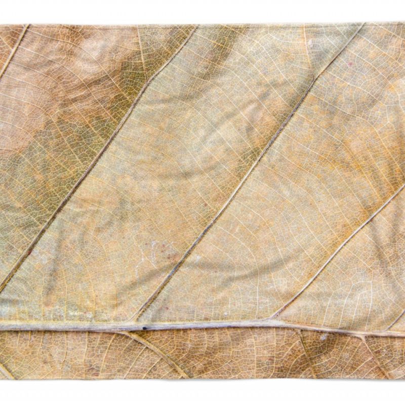 Handtuch Strandhandtuch Saunatuch Kuscheldecke  mit Fotomotiv Herbstblatt Makrof