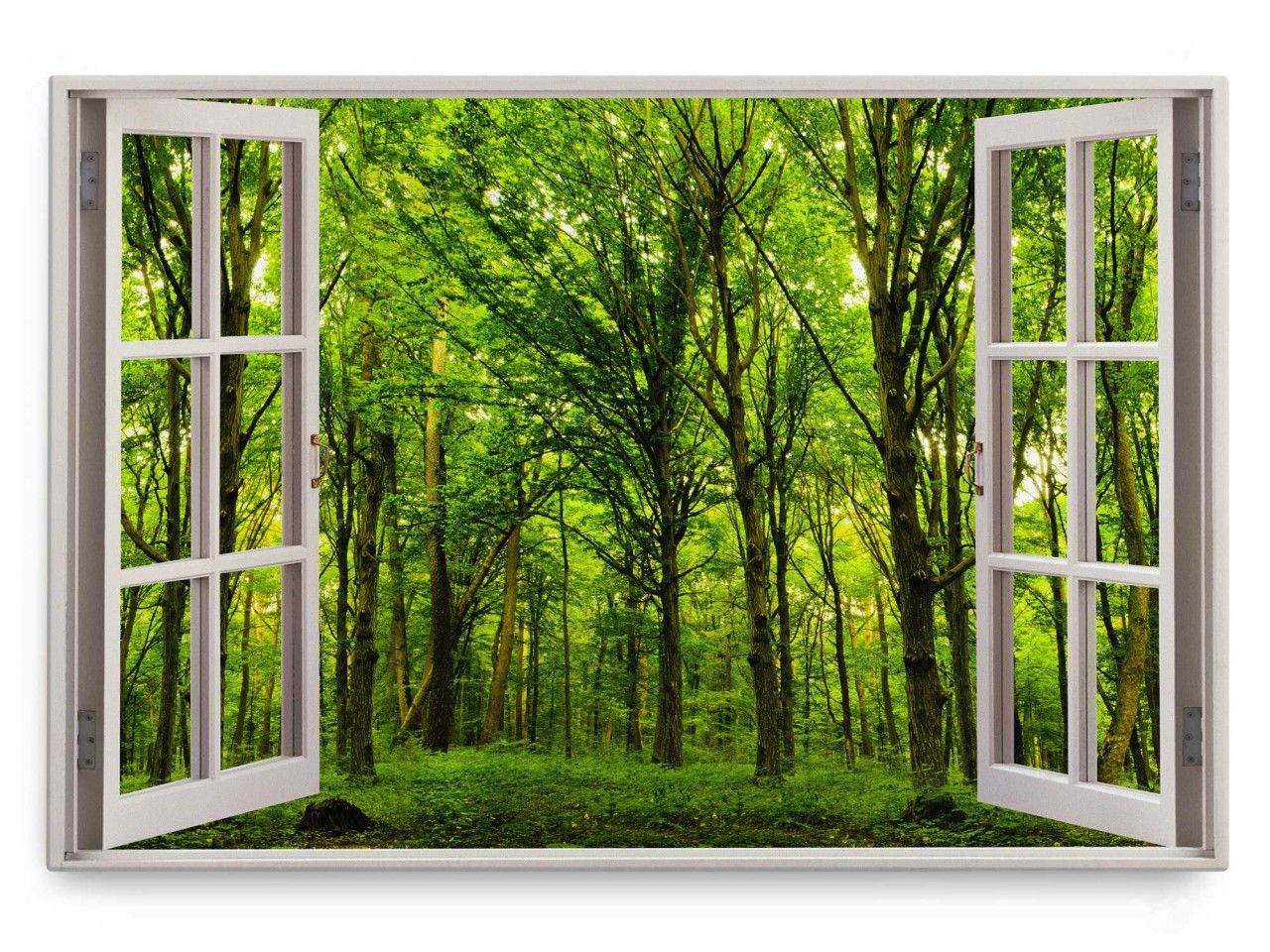 Wandbild 120x80cm Fensterbild Wald Grün Bäume Natur grünes Licht