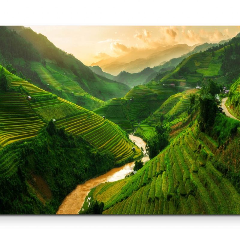 Mu Cang Chai  Reisterrassen – Leinwandbild