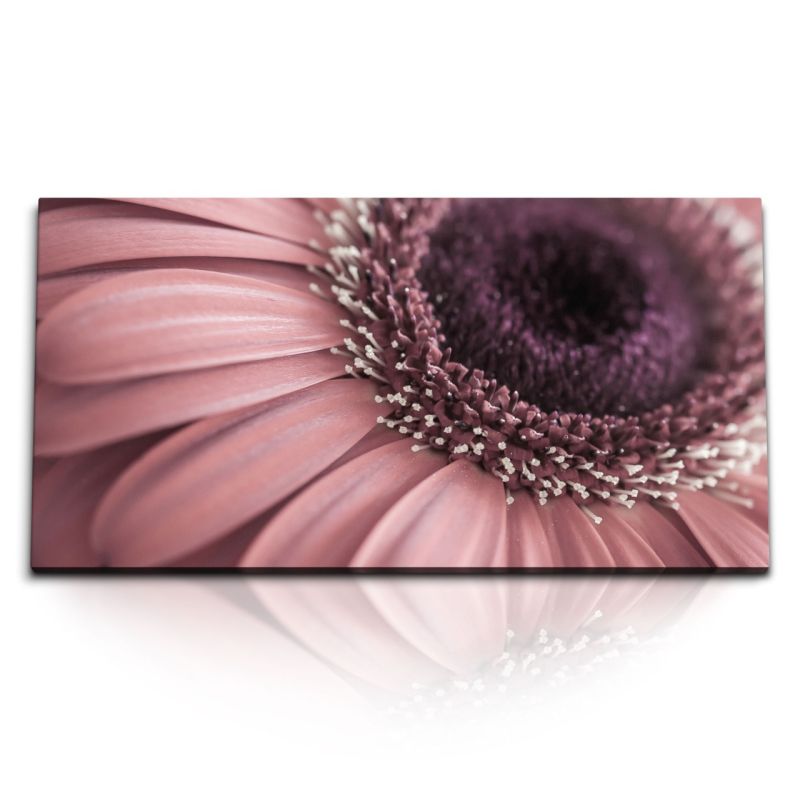 Kunstdruck Bilder 120x60cm Rosa Blume Blüte Nahaufnahme Makro Kunstvoll