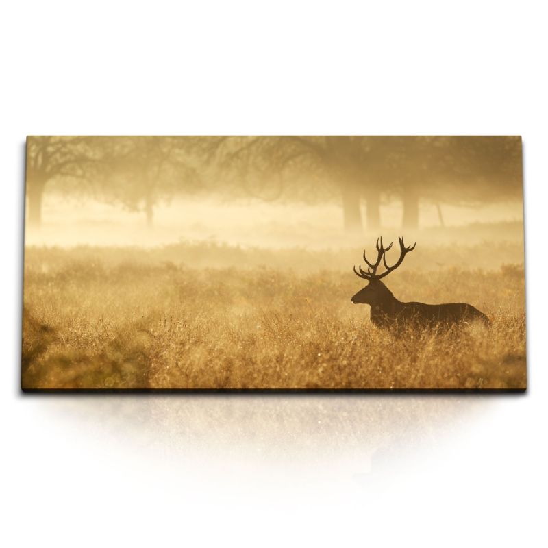 Kunstdruck Bilder 120x60cm Hirsch Grasland Natur Waldrand Morgentau