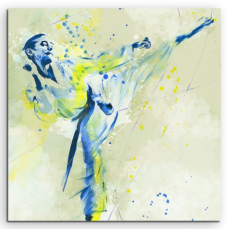 Karate IV 60x60cm SPORTBILDER Paul Sinus Art Splash Art Wandbild Aquarell Art