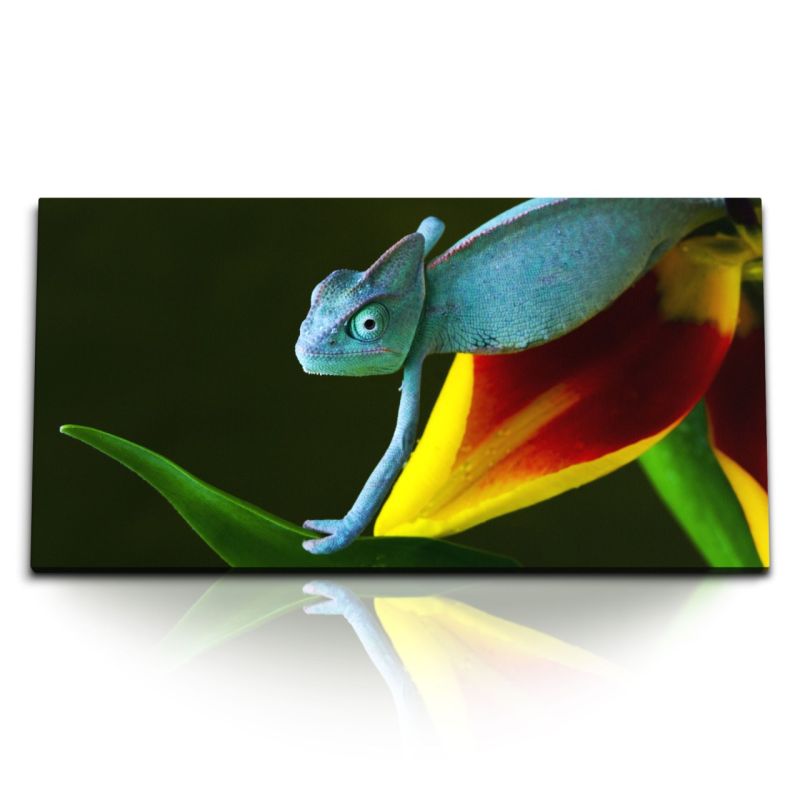 Kunstdruck Bilder 120x60cm Chamäleon Blau Bunt exotische Pflanze Tropisch