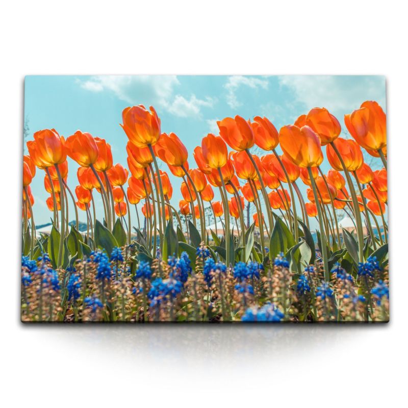 120x80cm Wandbild auf Leinwand Rote Tulpen Blumen Sommer Sonnenschein Blumenfeld