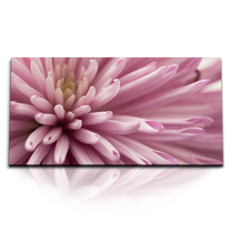 Kunstdruck Bilder 120x60cm Blume Blüte Makrofotografie Rosa Nahaufnahme