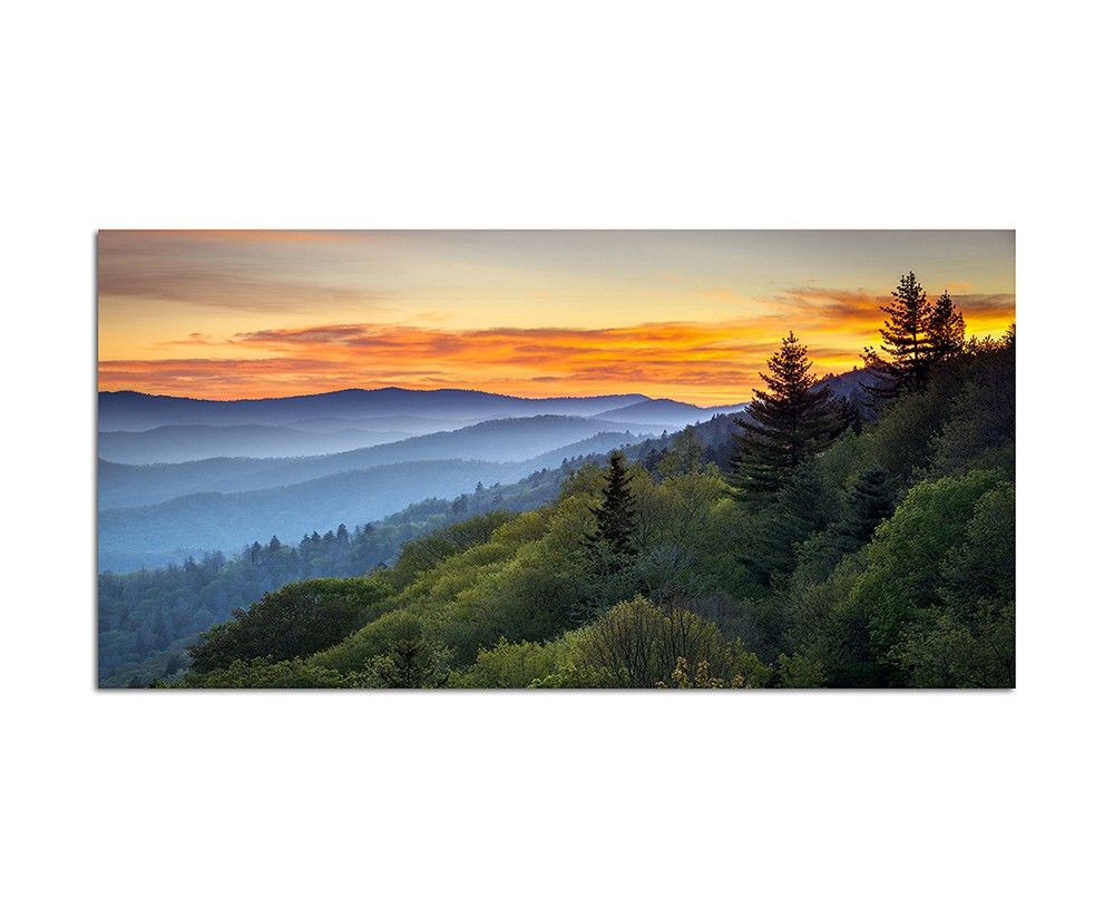 120x80cm Landschaft Wald Sonnenaufgang Nebel