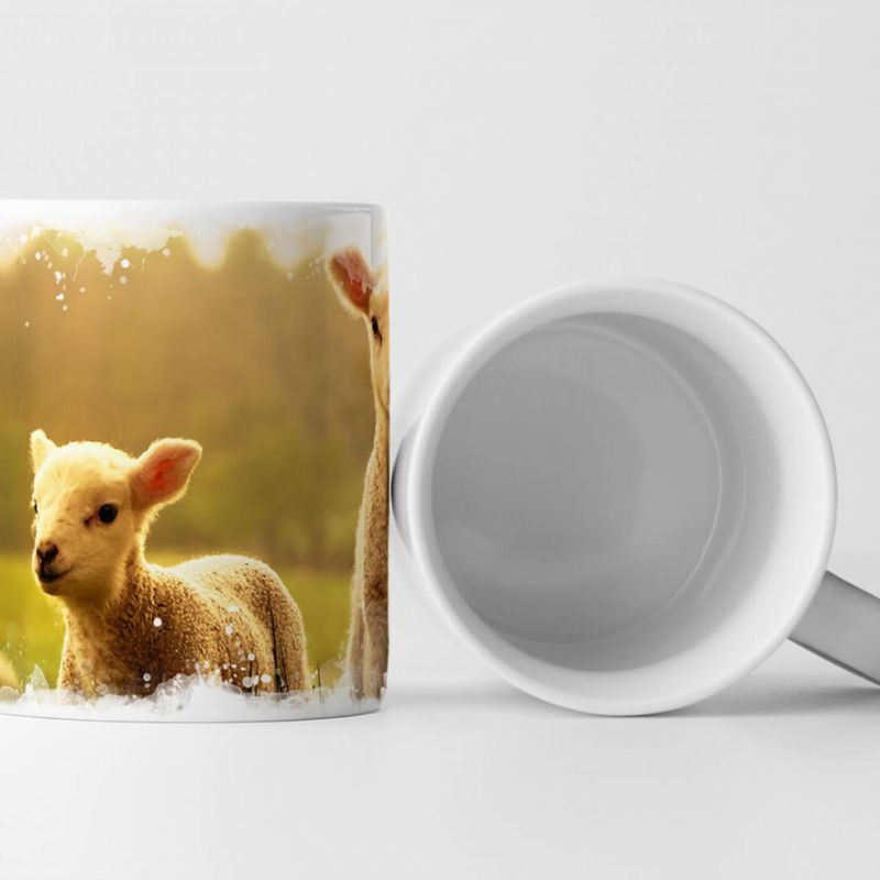 Tasse Geschenk Tierfotografie – Frühlingslämmer