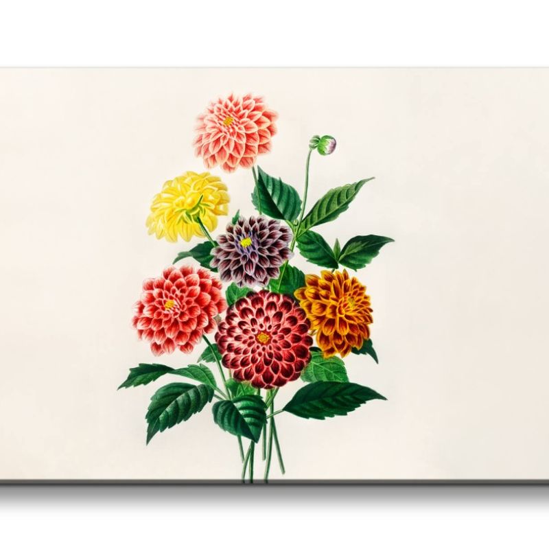 Remaster 120x60cm Schöne Blumen Blüten Illustration Kunstvoll Minimal Dekorativ