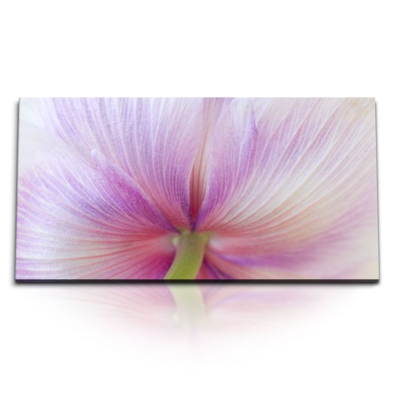 Kunstdruck Bilder 120x60cm Makrofotografie Blüte Rosa Pink Kunstvoll