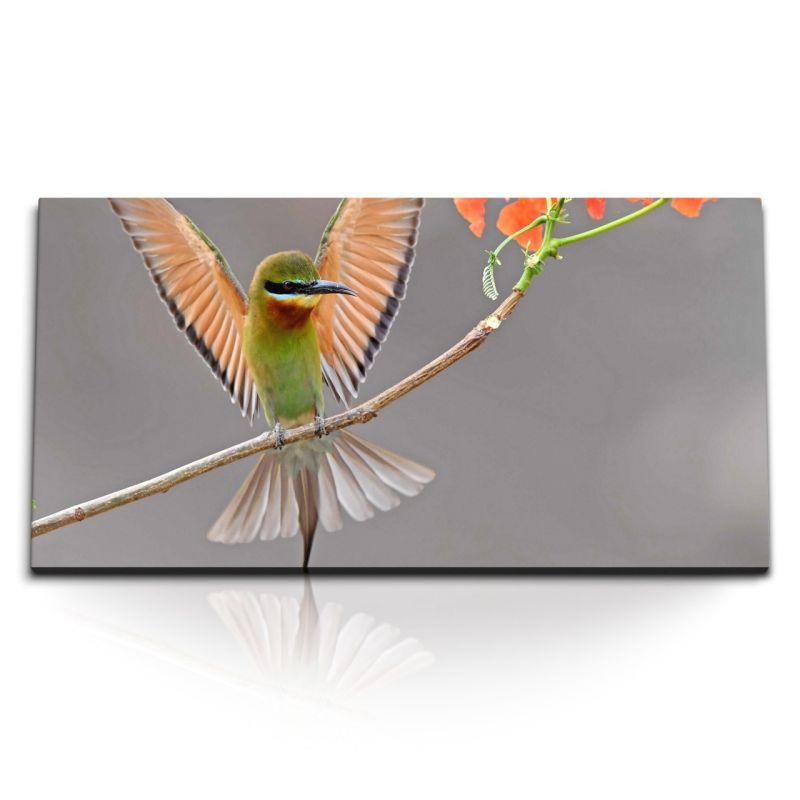 Kunstdruck Bilder 120x60cm Kolibri auf exotischer Blume Pflanze Tierfotografie