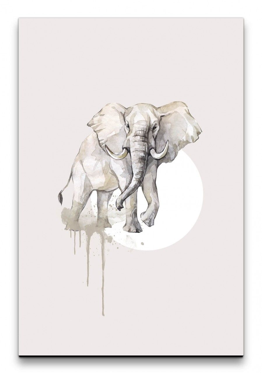 Elefant Afrika Aquarell Schön Modern Wasserfarben Rosa Kunstvoll