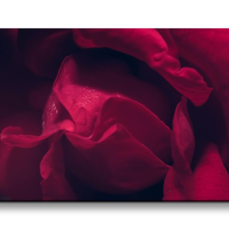 Leinwandbild 120x60cm Rose Rosenblüte Rot Romantisch Liebe Leidenschaft