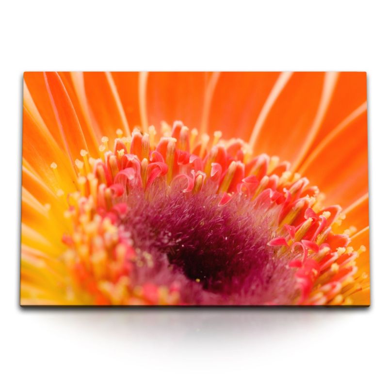 120x80cm Wandbild auf Leinwand Rote Blume Blüte Nahaufnahme Makrofotografie