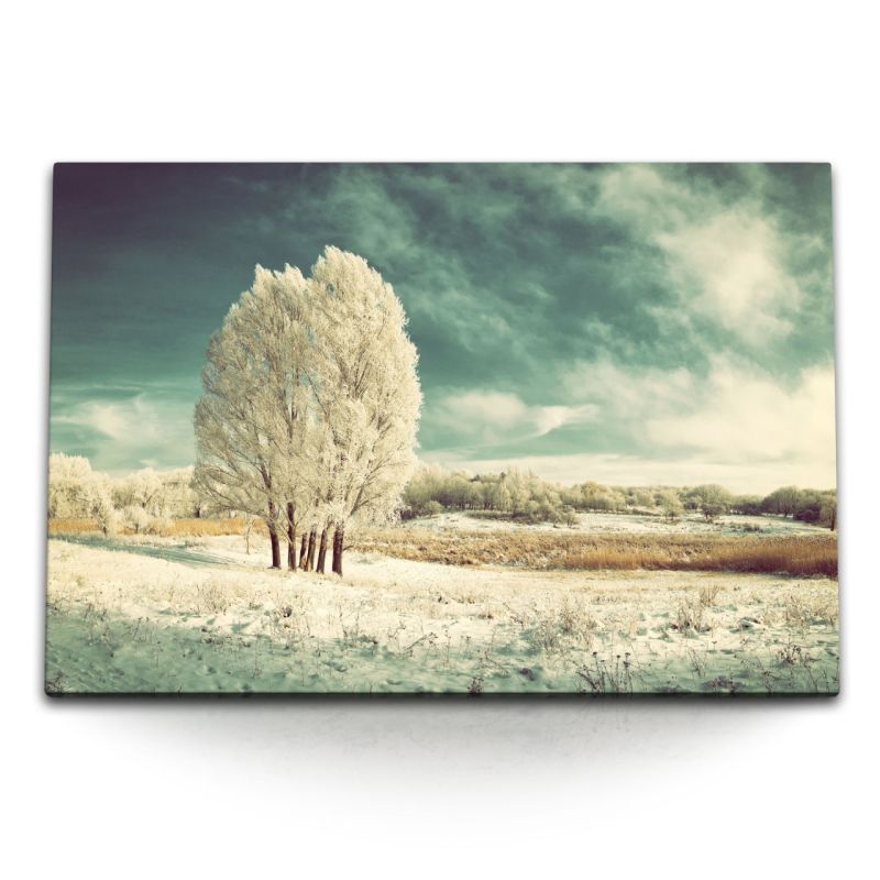 120x80cm Wandbild auf Leinwand Winterlandschaft Winter Schnee Bäume Natur