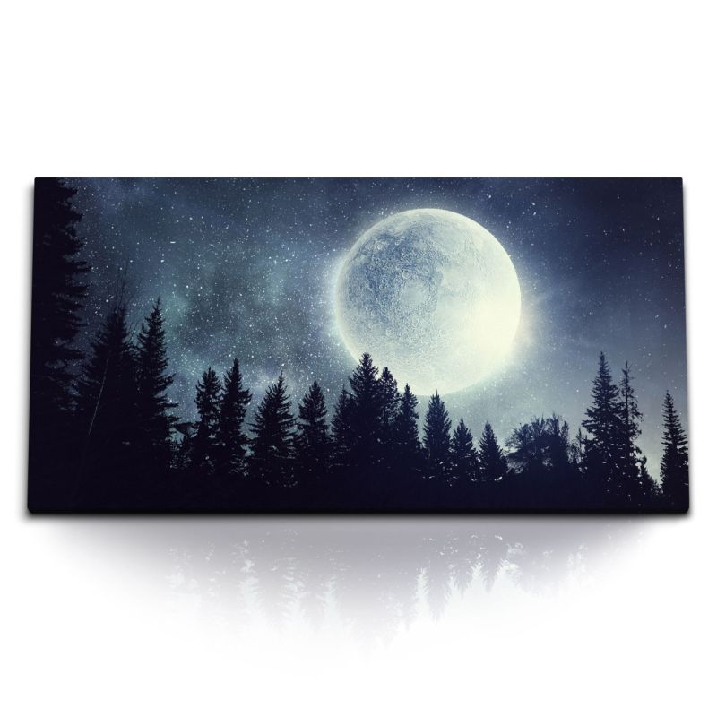 Kunstdruck Bilder 120x60cm Vollmond Mond Sterne Sternenhimmel Tannenwald Nacht