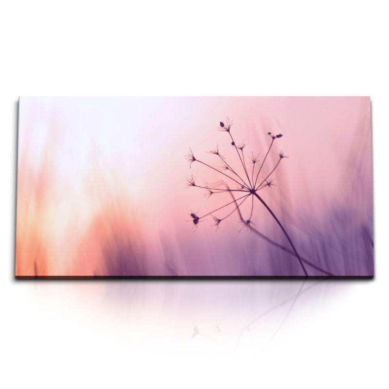 Kunstdruck Bilder 120x60cm Sonnenuntergang Natur Gewächs Rosa Blumen