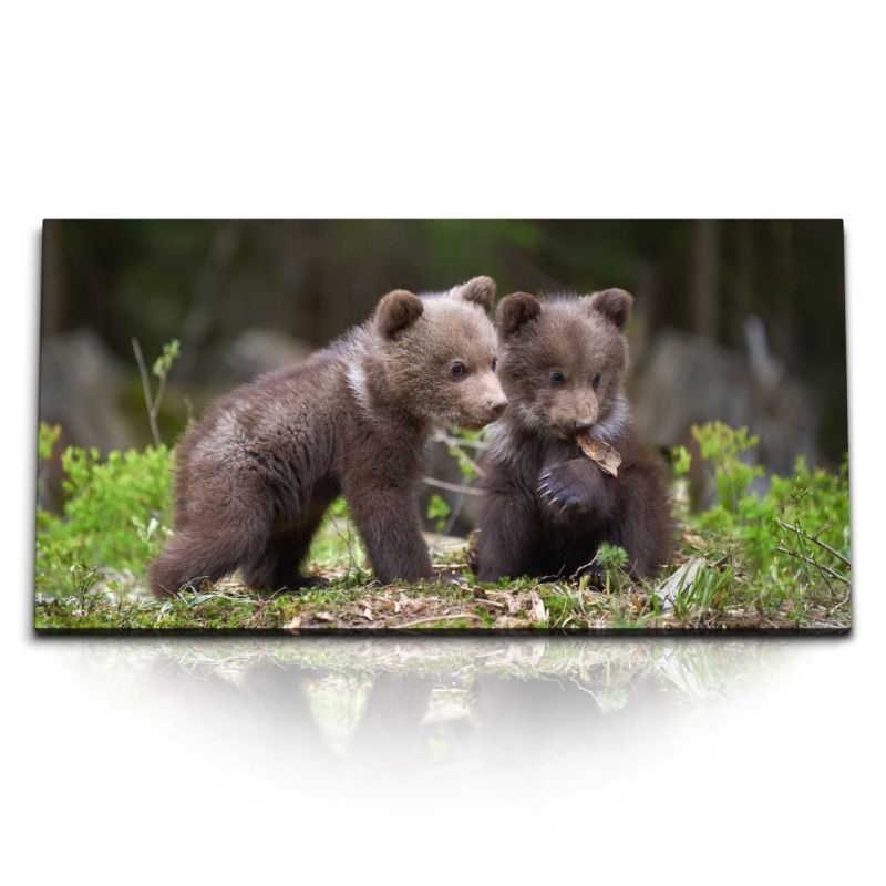 Kunstdruck Bilder 120x60cm Kleine Bären im Wald Babybär Natur Tierfotografie