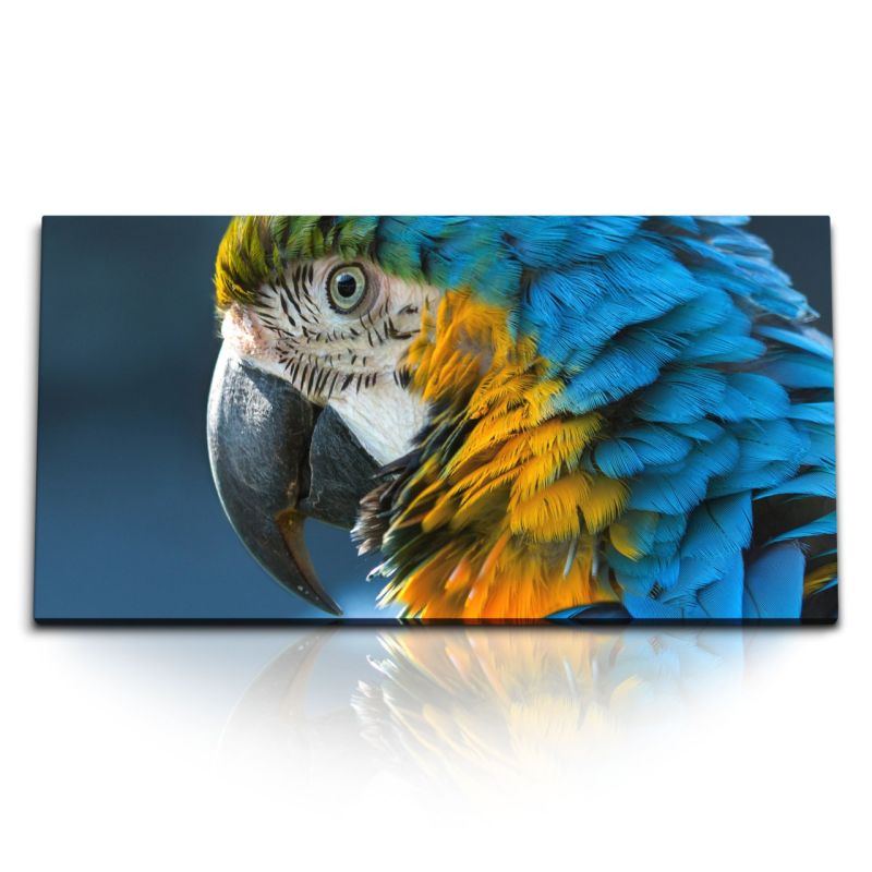 Kunstdruck Bilder 120x60cm Papagei Bunt Farbenfroh Exotisch Tierfotografie