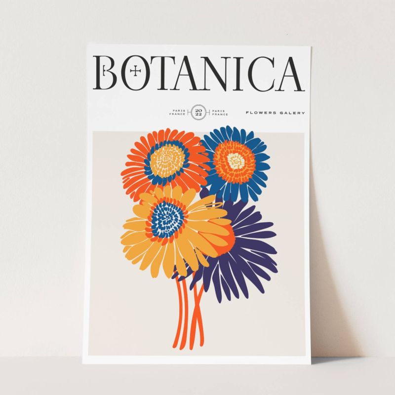 Botanica Wunderschöne Blumen Illustration Dekorativ Modern Farbenfroh