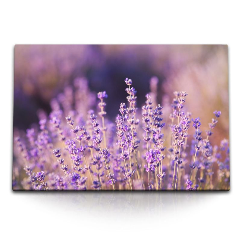 120x80cm Wandbild auf Leinwand Lavendel Lila Blumen Sommer Wildblumen