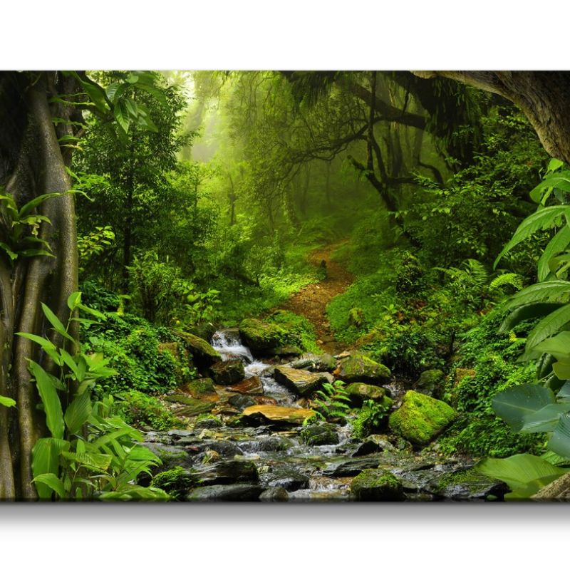 Leinwandbild 120x60cm Grüner Wald Bach Natur Wasser Leben Pflanzen