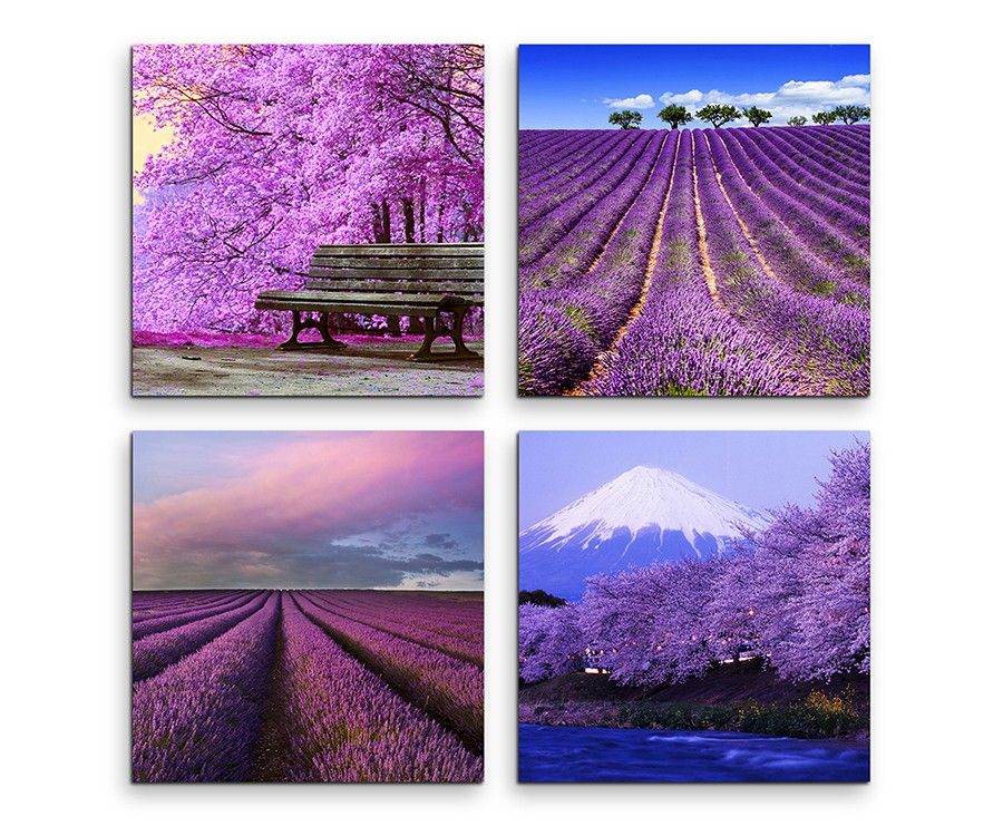 4 teiliges Leinwandbild je 30x30cm  –  Lavendelfeld Fuji Japan Sommer