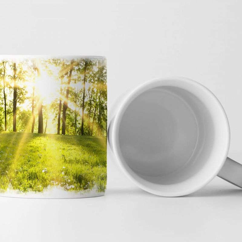 Tasse Geschenk Landschaftsfotografie – Sonnige Waldlichtung im Frühling