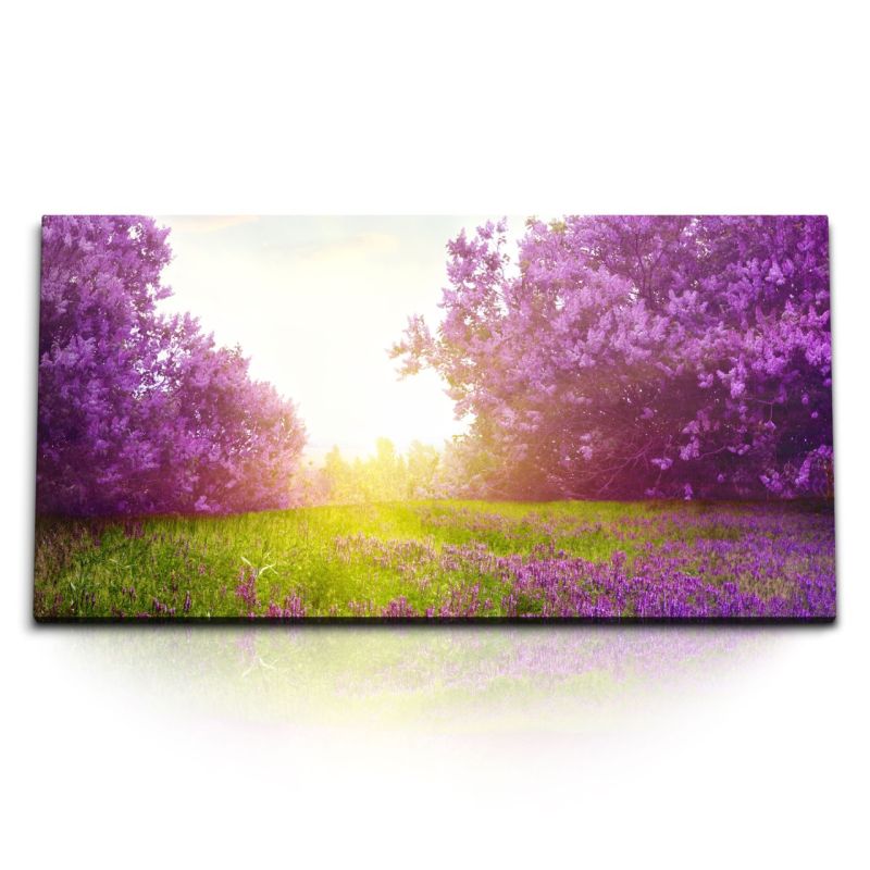 Kunstdruck Bilder 120x60cm Violette Baumblüten Frühling Blüte Natur Sonnenschein