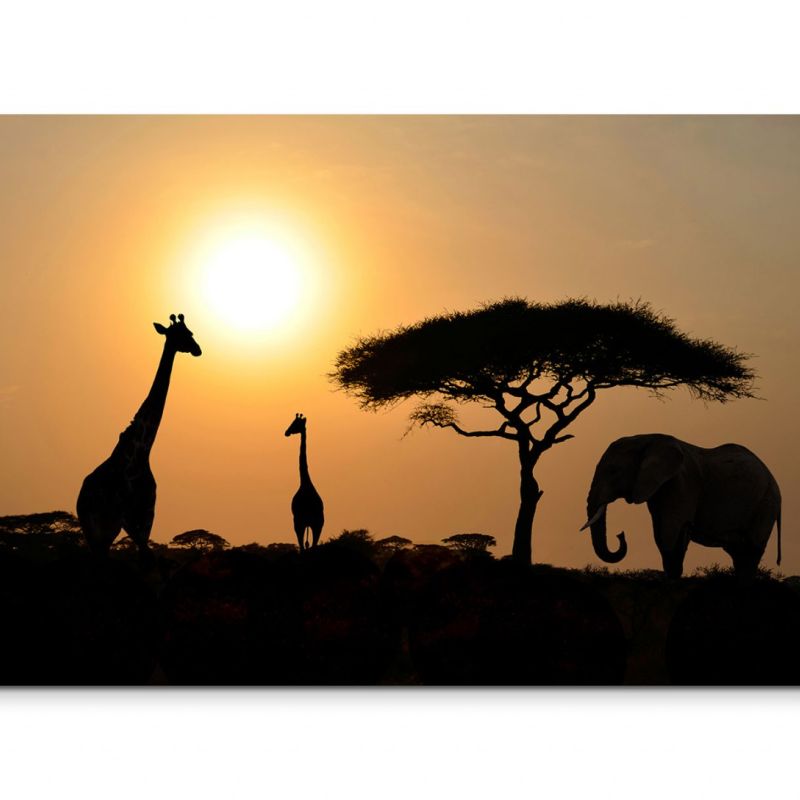 120x80cm Wandbild Afrika Serengeti Safari Giraffen Elefanten Akazie Baum