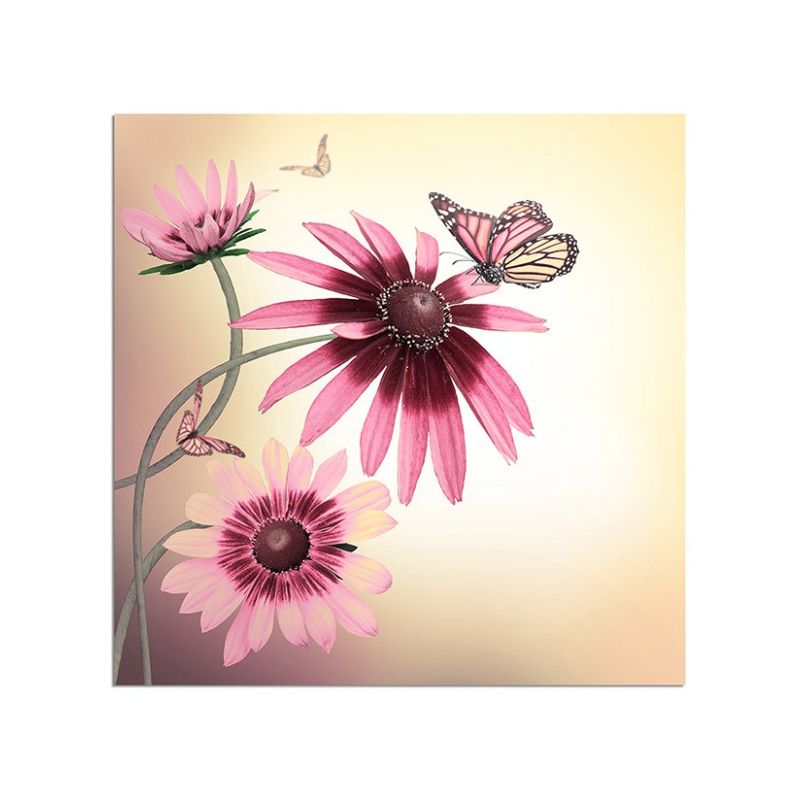 80x80cm Gerbera Gänseblümchen Schmetterling