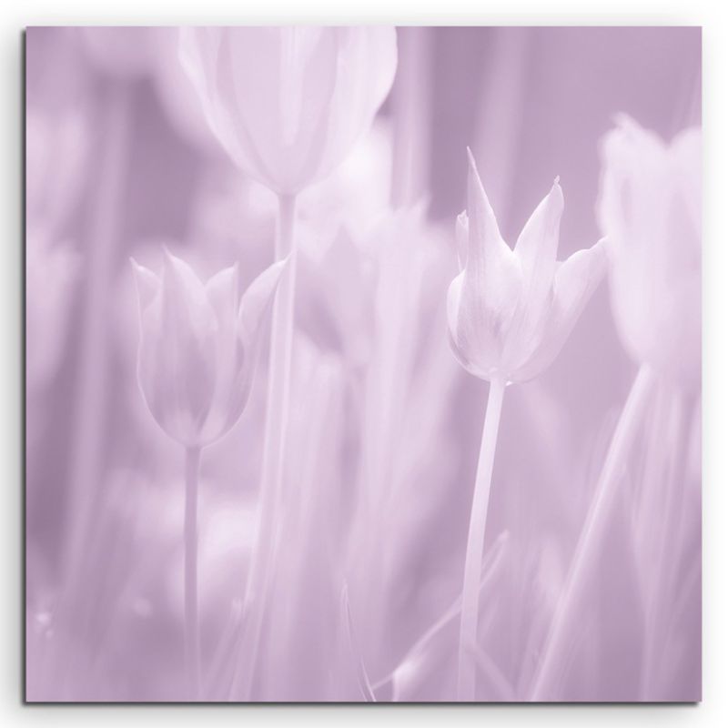 Künstlerische Fotografie – Rosa pastell Tulpen auf Leinwand