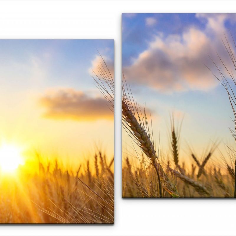 Sonne scheint Wandbild in verschiedenen Größen