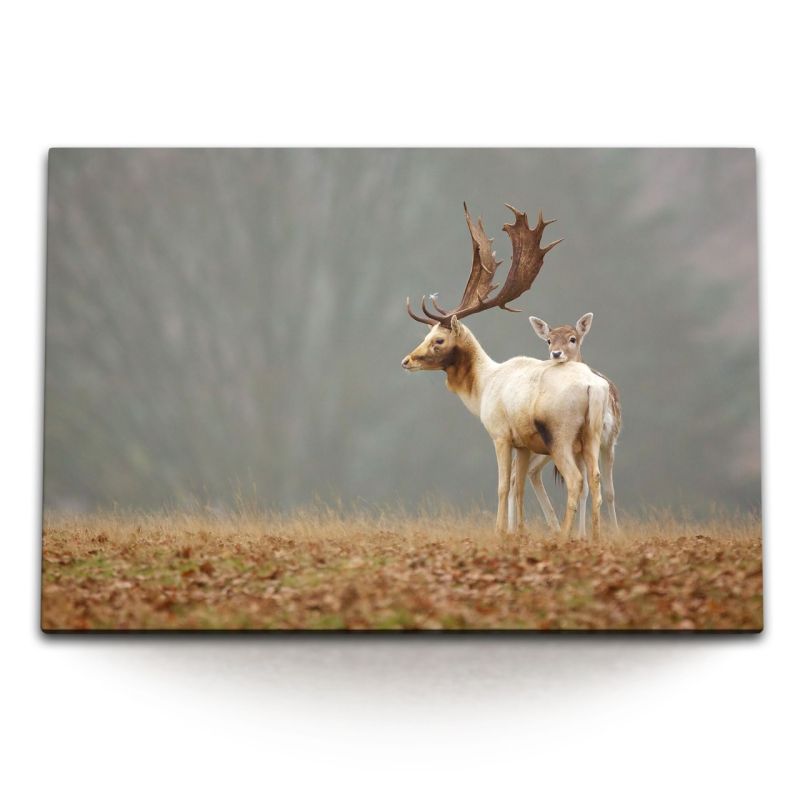 120x80cm Wandbild auf Leinwand Sikahirsche Im Grasland Natur Hirsche Babyhirsch Tierfotografie