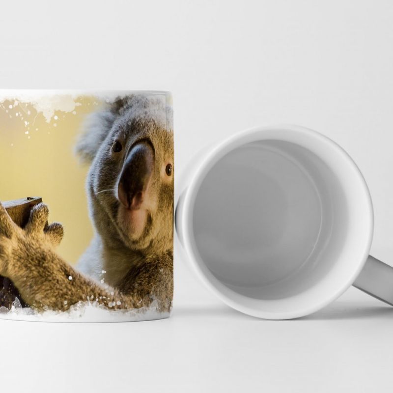 Tasse Geschenk Tierfotografie – Koalabär