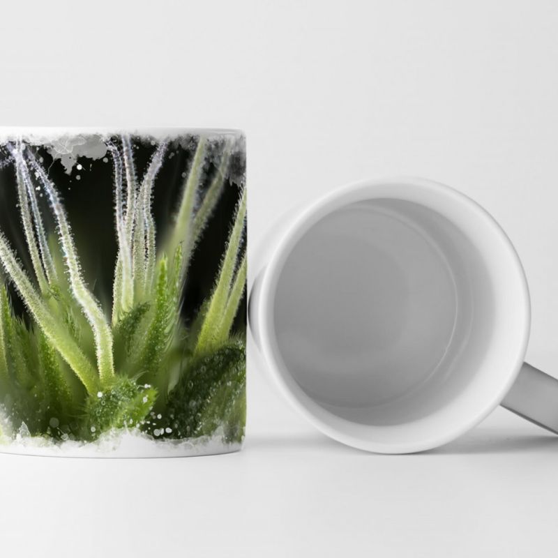 Tasse Geschenk Nahaufnahme Marihuana Knospen