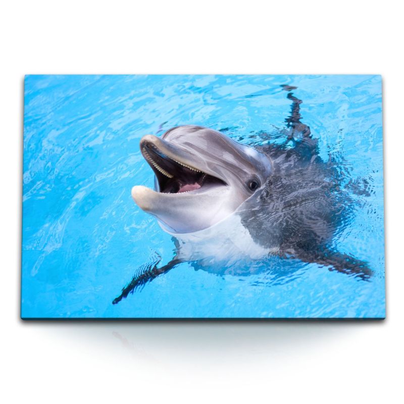 120x80cm Wandbild auf Leinwand Delfin Tierfotografie Blau Hellblau Meer