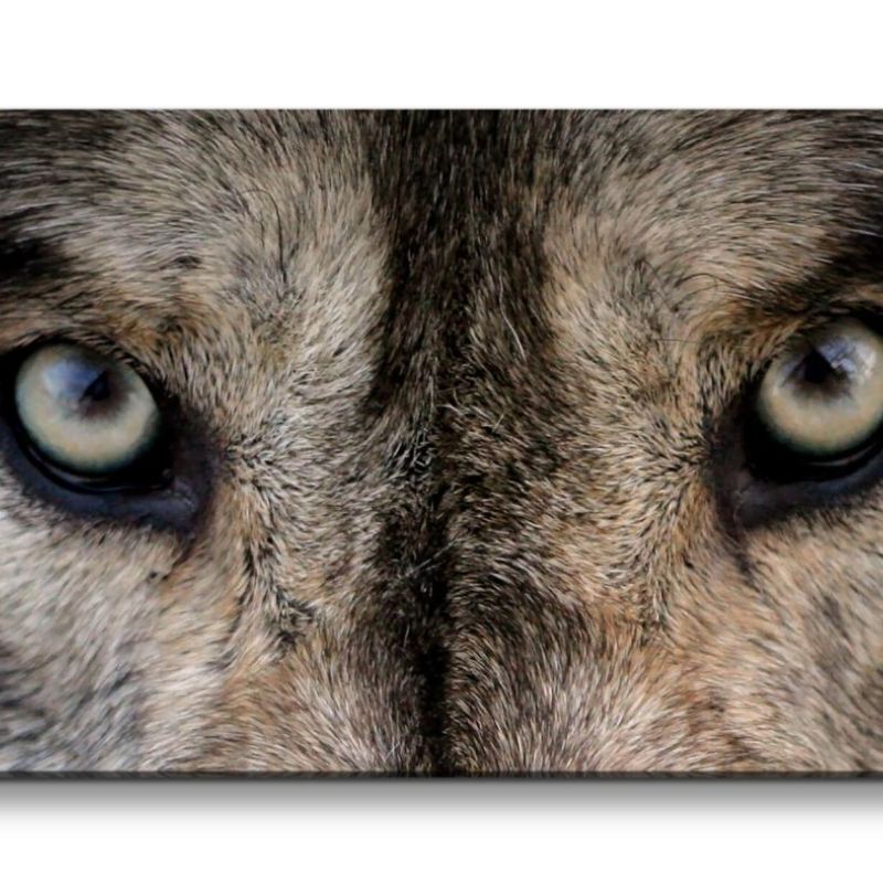 Leinwandbild 120x60cm Wolf Augen Wild Wildnis Mystisch schönes Tier