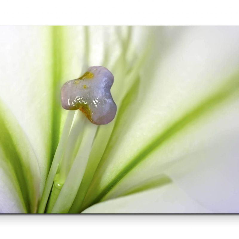 Blüte Makroaufnahme – Leinwandbild