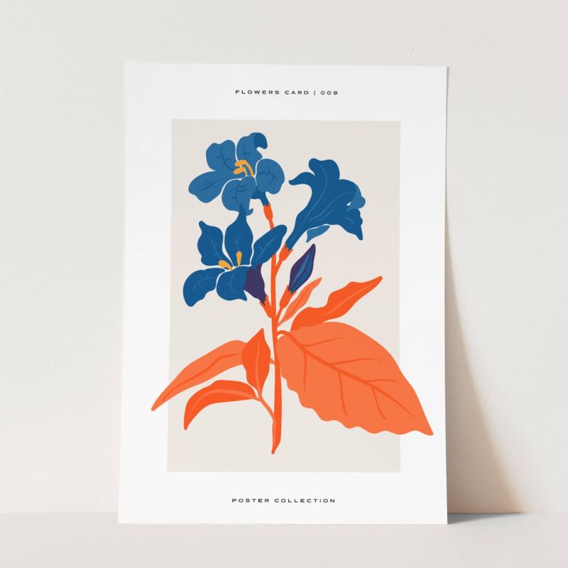 Botanica Wunderschöne Blumen Illustration Dekorativ Modern Farbenfroh