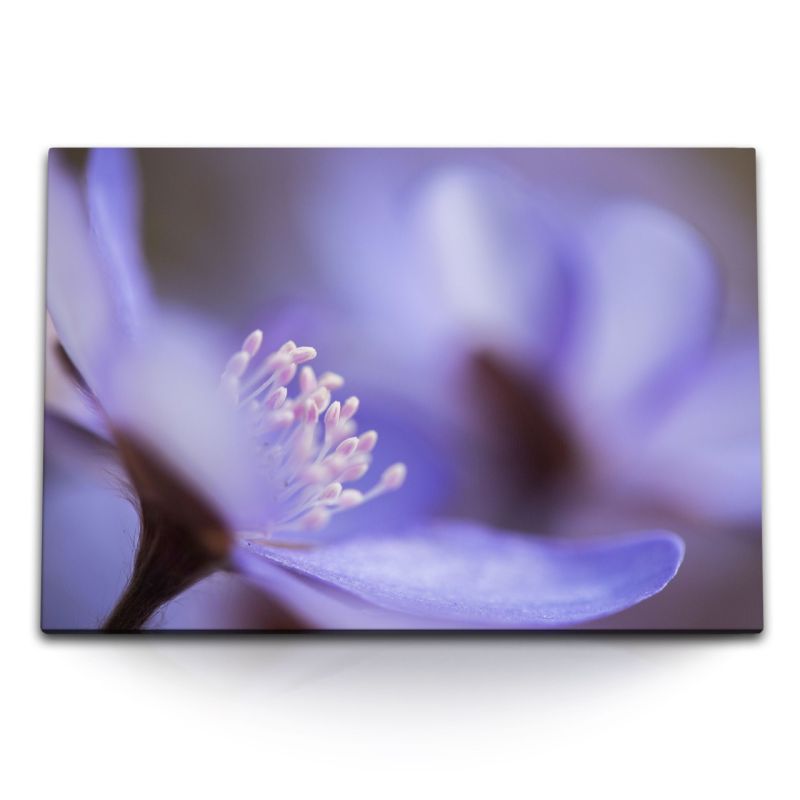 120x80cm Wandbild auf Leinwand Blume Blüte Violett Nahaufnahme Fotokunst