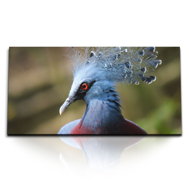 Kunstdruck Bilder 120x60cm Blauer Pfau Vogel Tierfotografie Federkleid Natur