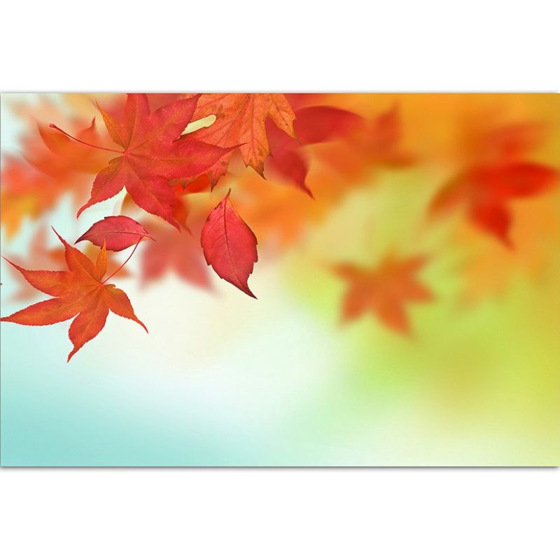 120x80cm Blätter fallen Herbst