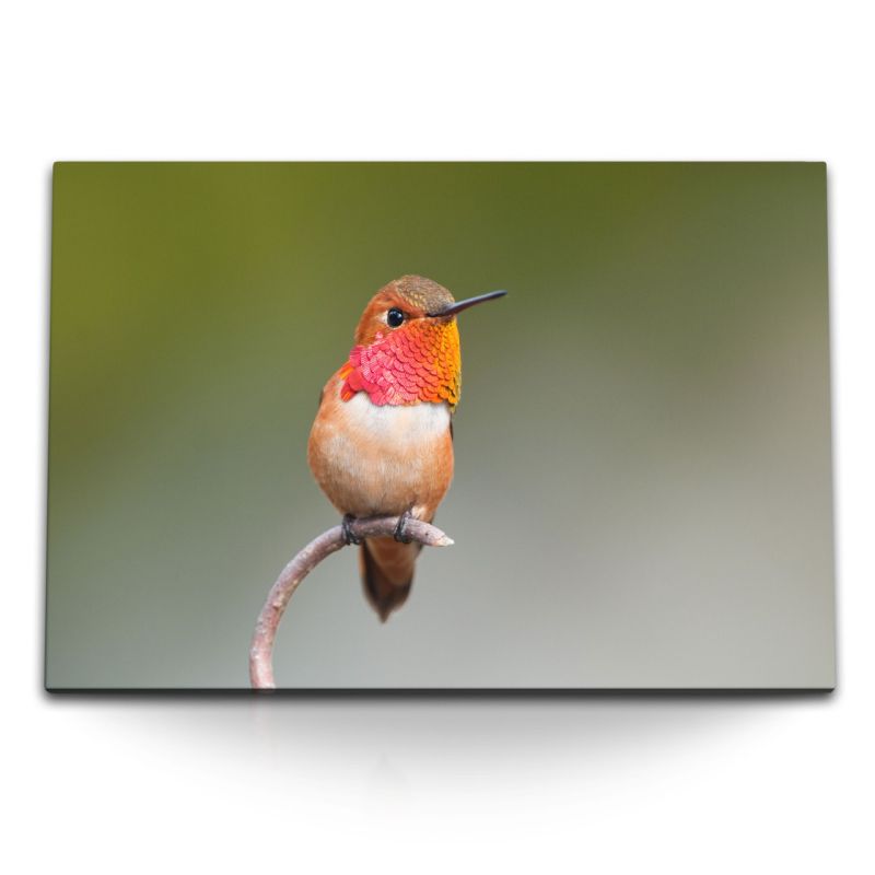 120x80cm Wandbild auf Leinwand Kleiner exotischer Vogel Kolibri Tierfotografie