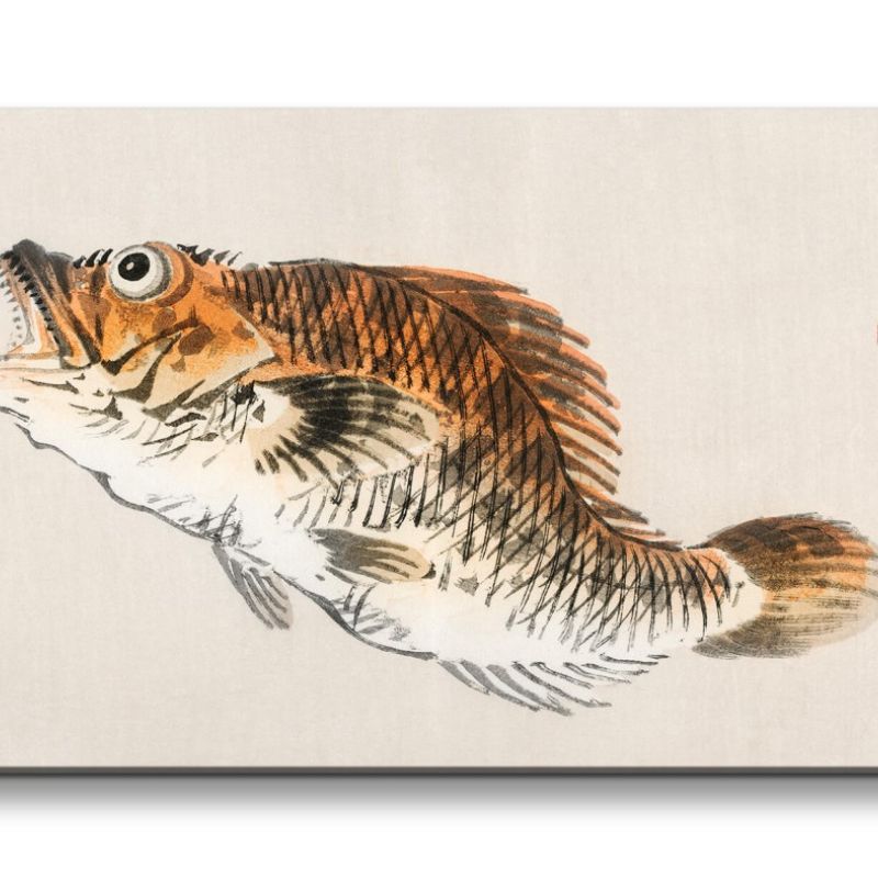 Remaster 120x60cm Traditionelle japanische Kunst Zeitlos Beruhigend Harmonie Fisch Zuchtkrapfen Koi