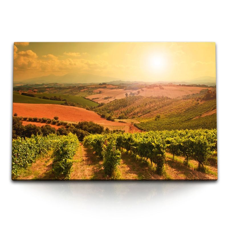 120x80cm Wandbild auf Leinwand Weinfelder Weinreben Natur Landschaft Sonnenuntergang