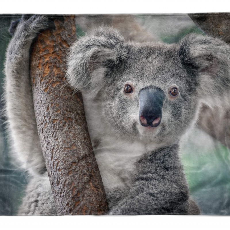 Handtuch Strandhandtuch Saunatuch Kuscheldecke  mit Tiermotiv Koalabär Koala Aus