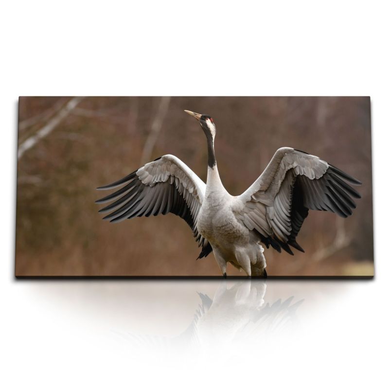 Kunstdruck Bilder 120x60cm Tierfotografie Kranich Vogel Asien Natur