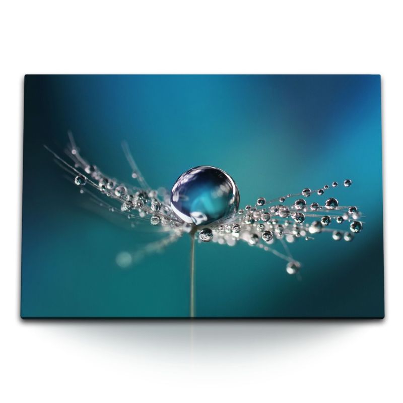 120x80cm Wandbild auf Leinwand Makrofotografie Wassertropfen Pusteblume Fotokunst